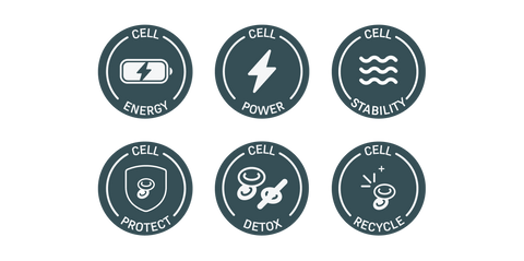 Zelluläre Nährstoffe