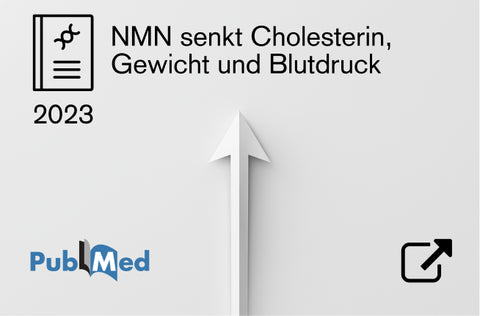 wissenschaftliche Studie nmn cholesterin