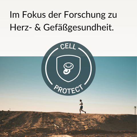 Trans-Resveratrol Kapseln