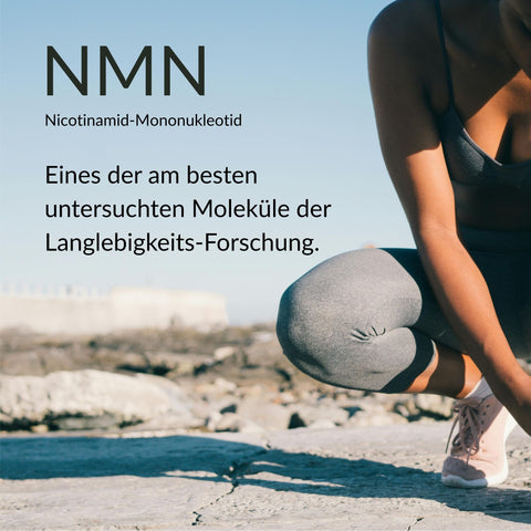 NMN Pulver Premium
