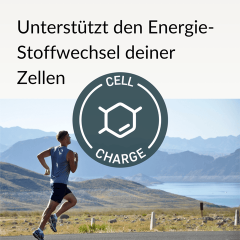 NAD⁺-Booster (liposomal)