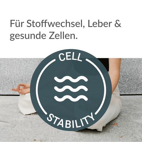 TMG (Betain) Kapseln