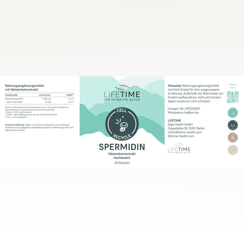 Spermidin Kapseln