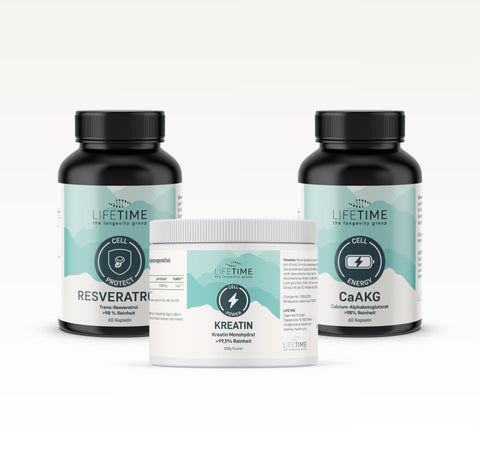 Sport & Regeneration System